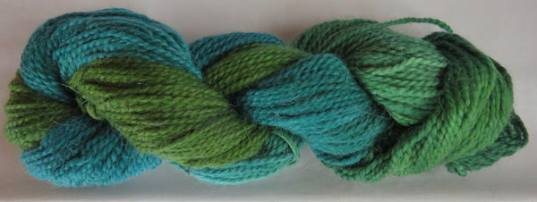ARAN - MAMS - Deep Forest