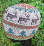 Pattern - Hat - Reindeer Hue in Fingering - 2412