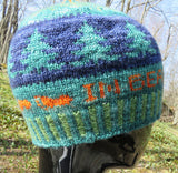 Pattern - Hat - In Beauty I Walk Hue in Fingering - 2507