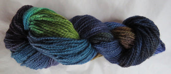 ARAN - MAMS - Common Grackle 70